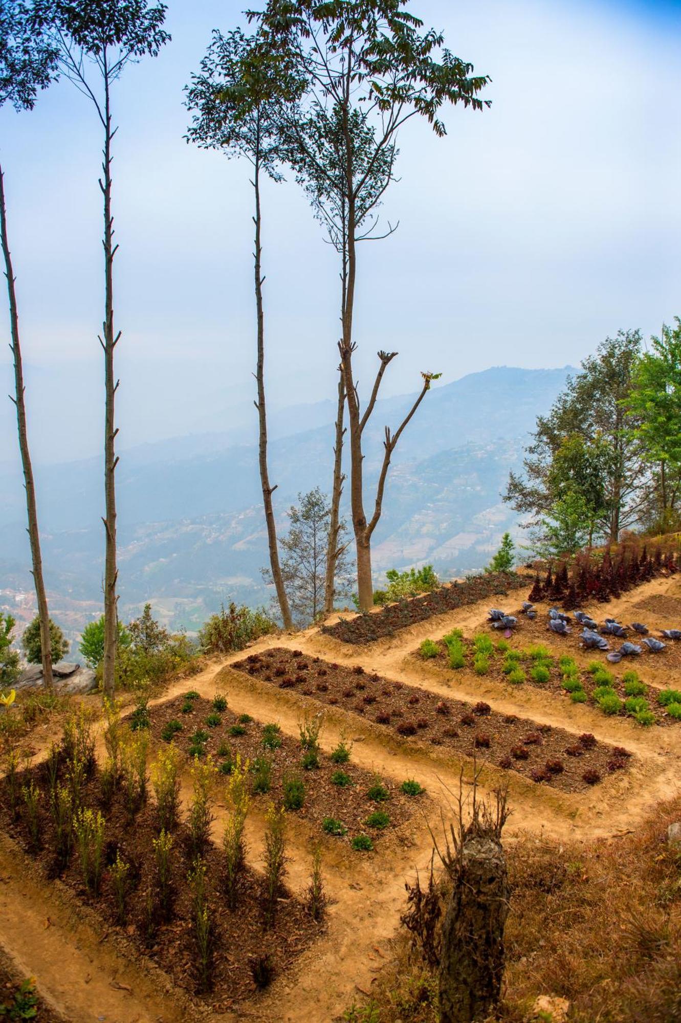 Dwarika'S Resort - Dhulikhel Wellbeing Escape In The Himalayas Extérieur photo