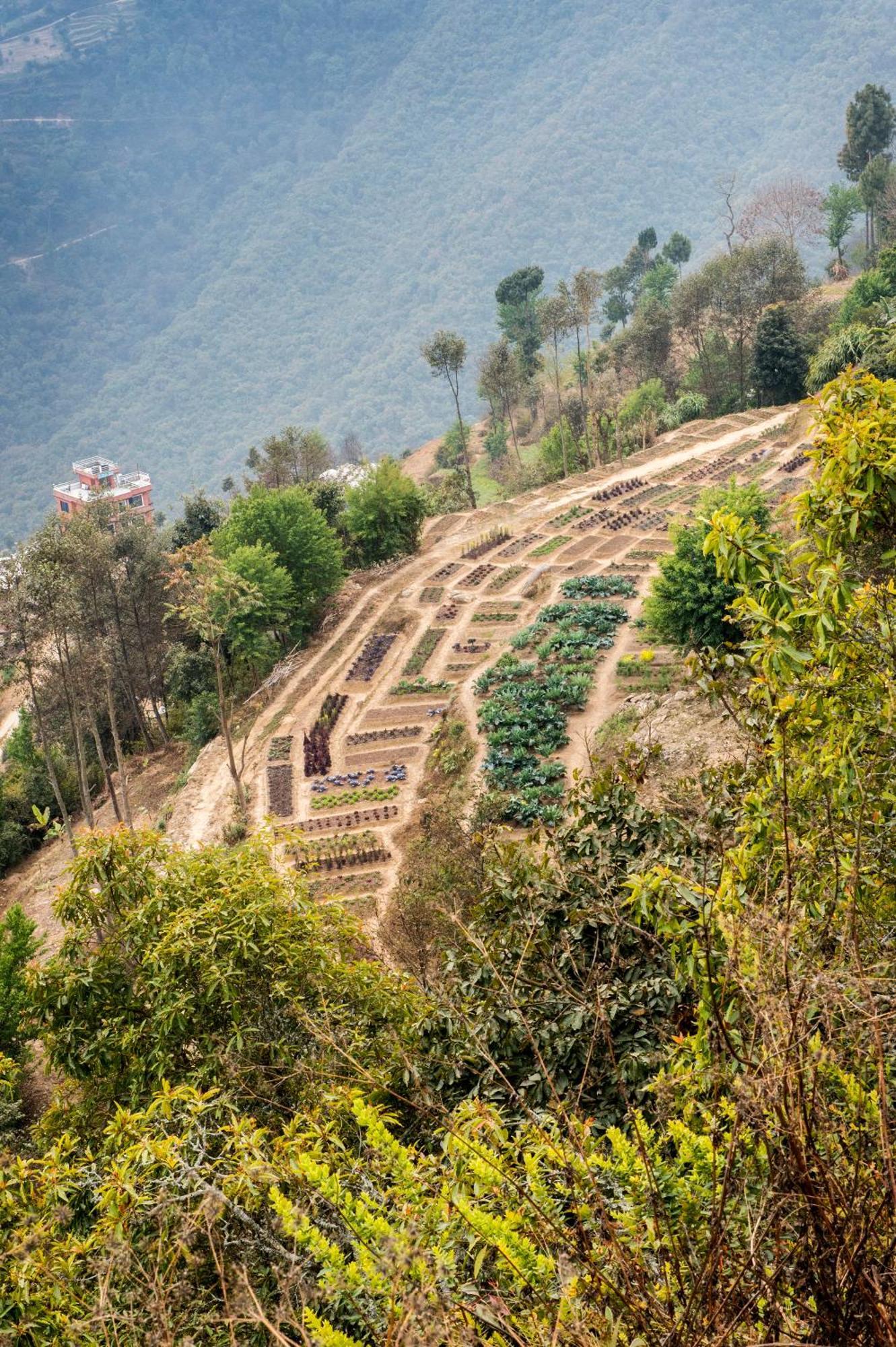 Dwarika'S Resort - Dhulikhel Wellbeing Escape In The Himalayas Extérieur photo